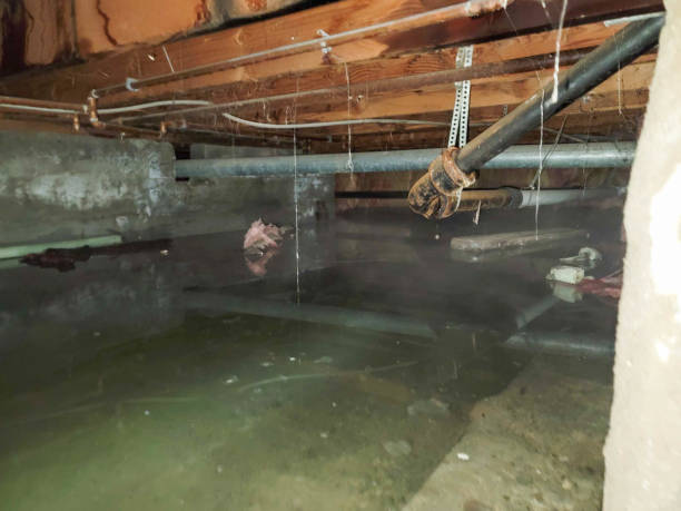 Best Water damage cleanup near me  in Lyndhurst, VA