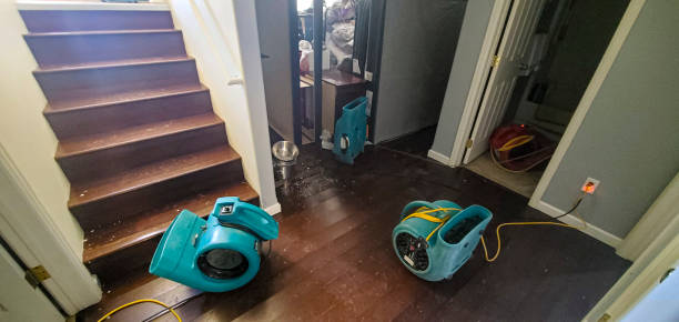 Best Carpet water damage restoration  in Lyndhurst, VA