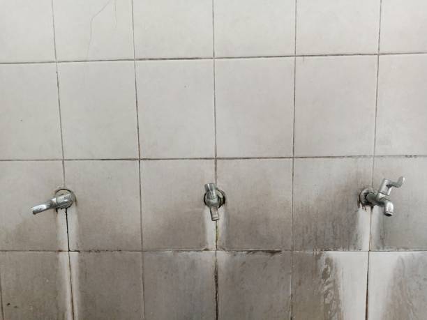 Best Fire Damage Restoration  in Lyndhurst, VA