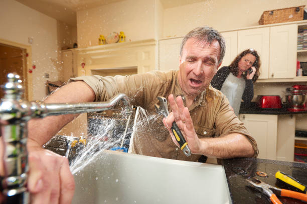 Best Flooded house restoration  in Lyndhurst, VA